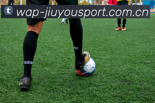 奖项证书